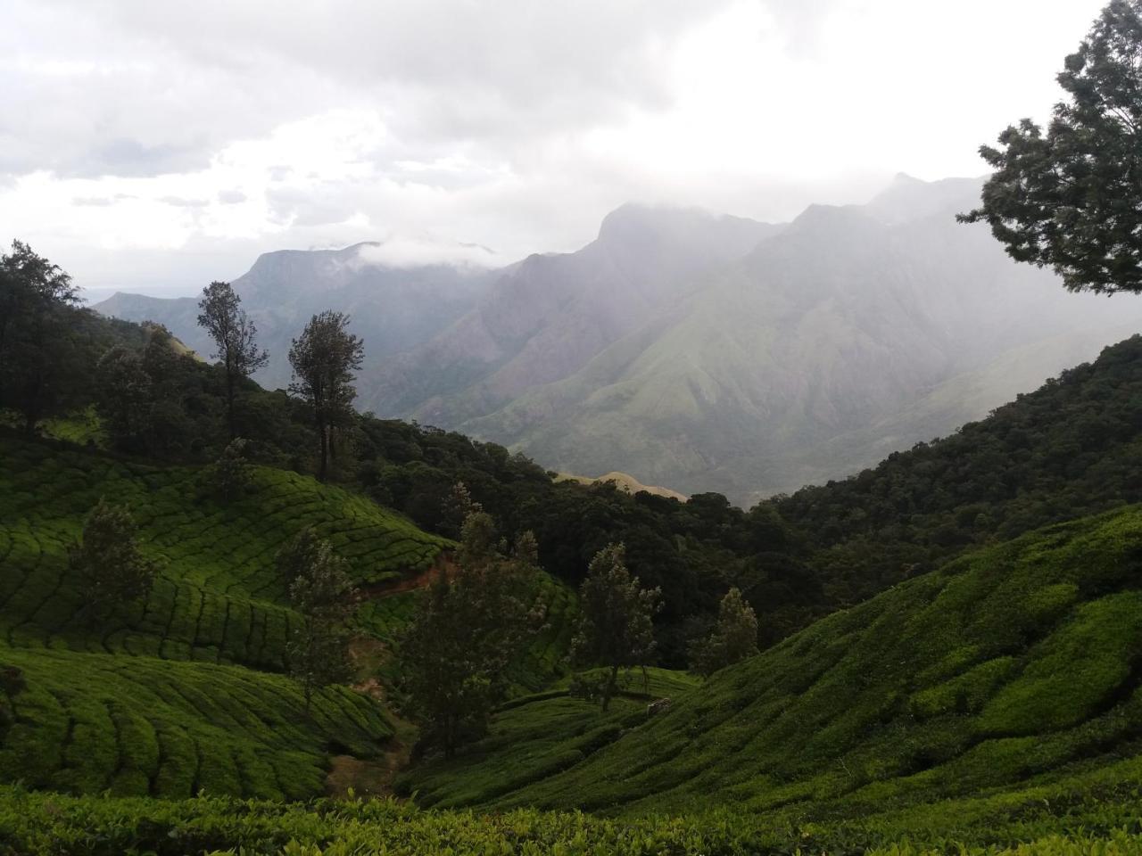 Hotel Monsoon Grande Munnar Exterior foto